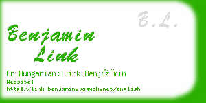 benjamin link business card